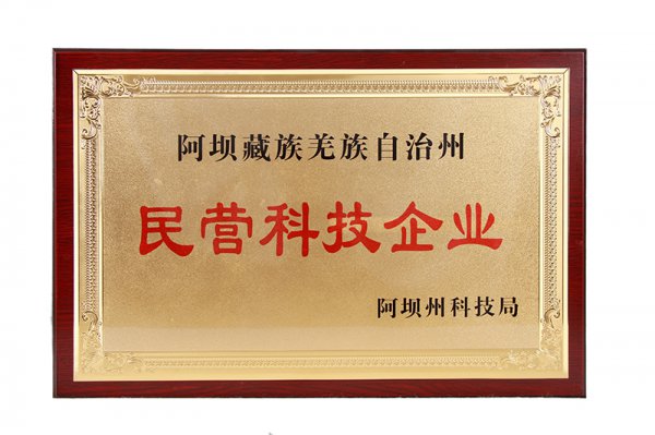 荣誉资质